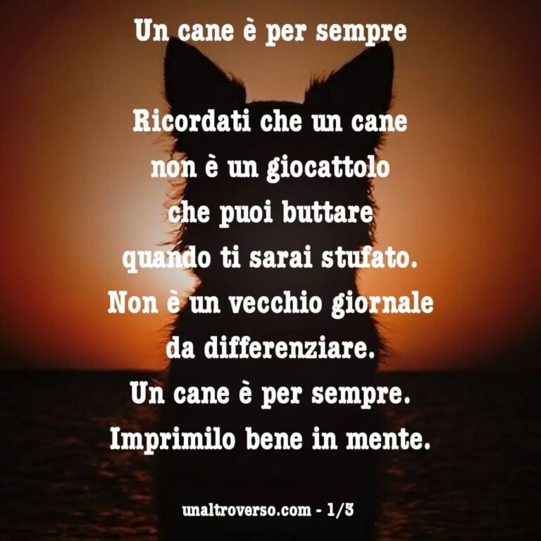 Instagram post from unaltroverso. This post is in position 2.