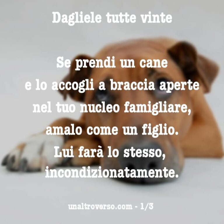 Instagram post from unaltroverso. This post is in position 3.